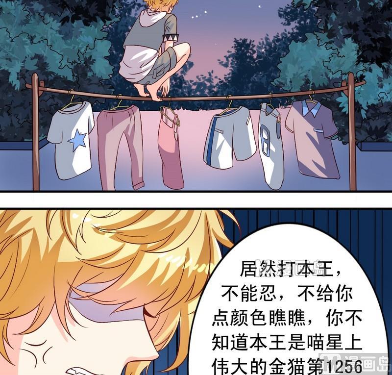 第11话 王喵要报复2