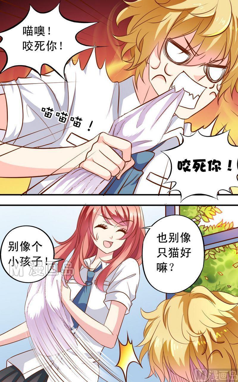 第50话  王喵现形3