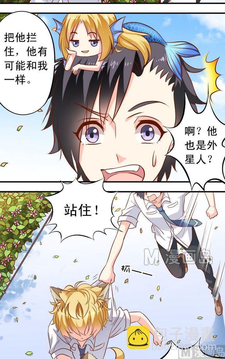 第51话 汇聚1