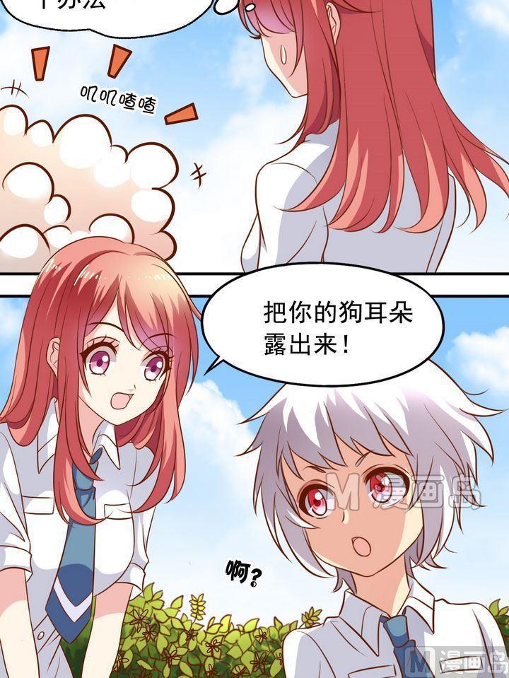第51话 汇聚5