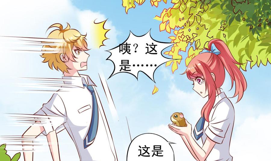 番外35 白猫和仓鼠12