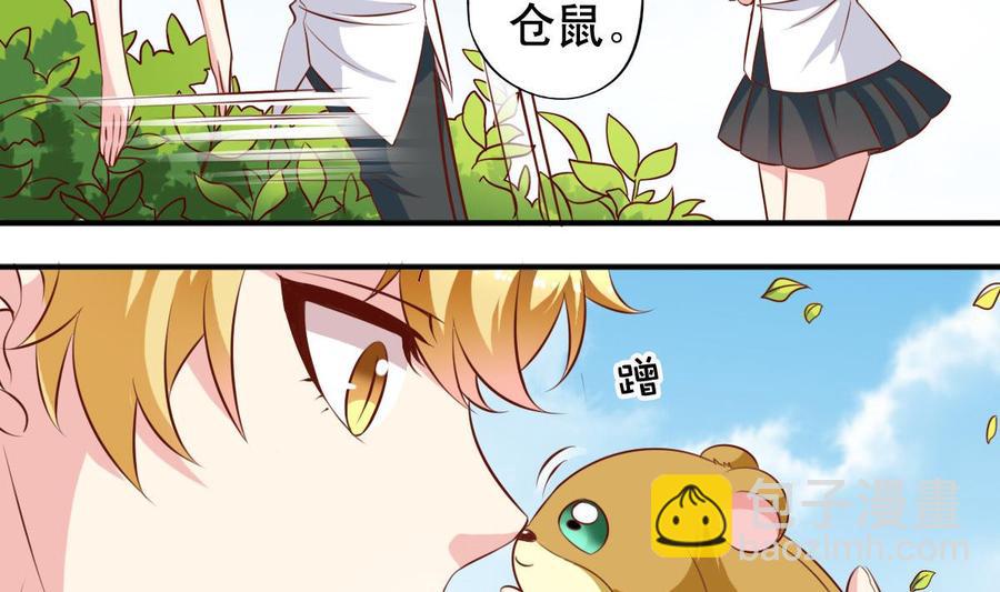 番外35 白猫和仓鼠13