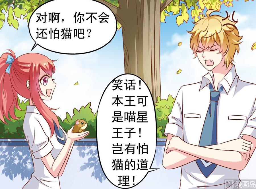 番外35 白猫和仓鼠17