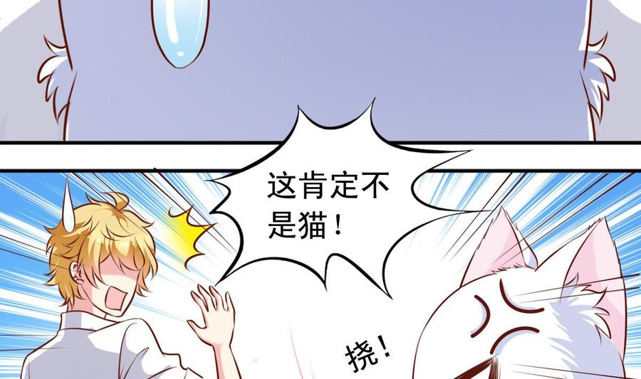 番外35 白猫和仓鼠19