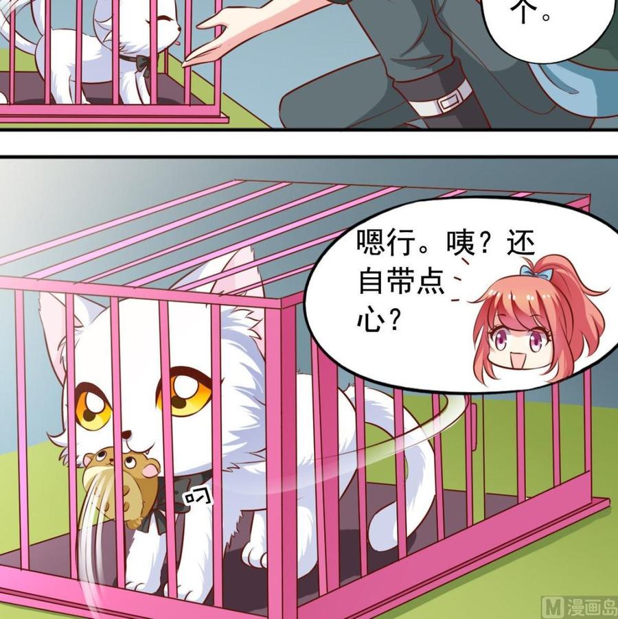 番外35 白猫和仓鼠5