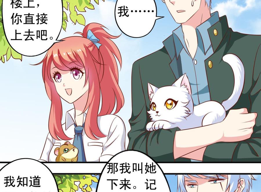 番外35 白猫和仓鼠9