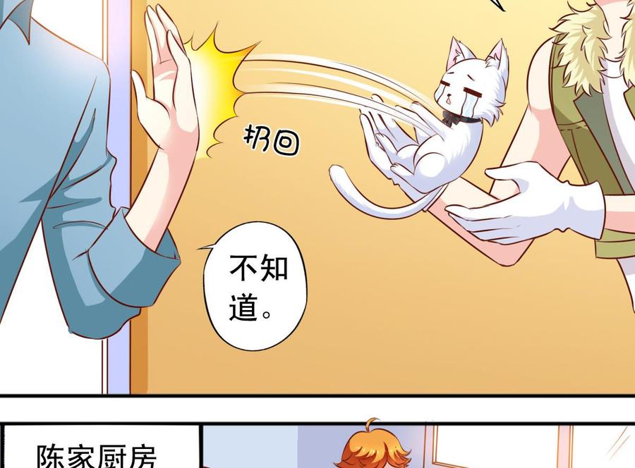 番外37 难伺候的猫15