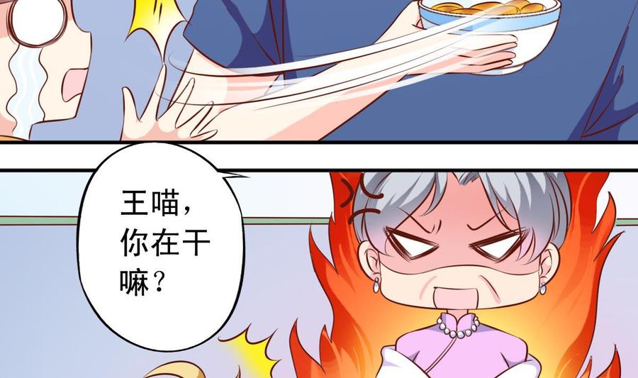 番外37 难伺候的猫19
