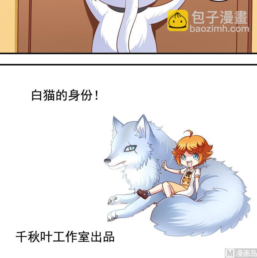 番外37 难伺候的猫23