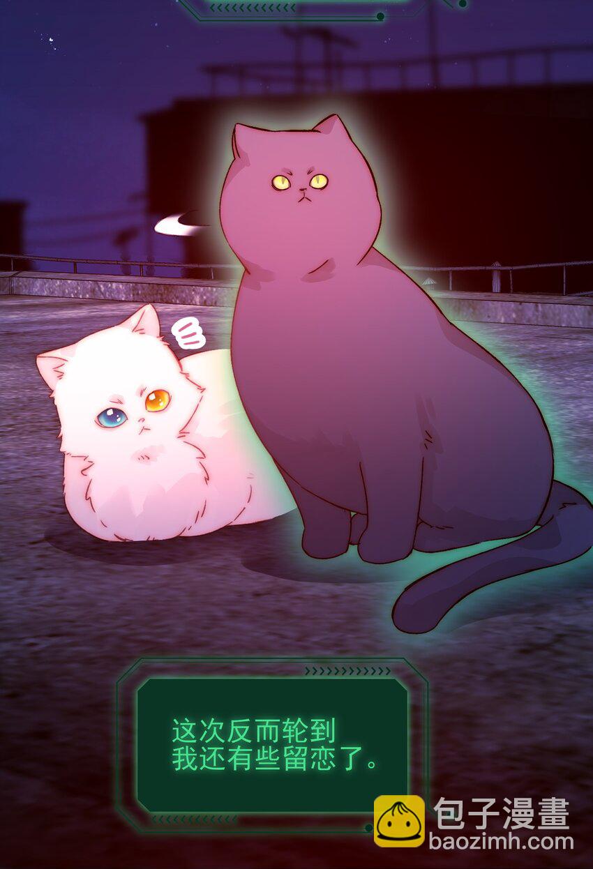 090 来世再见24