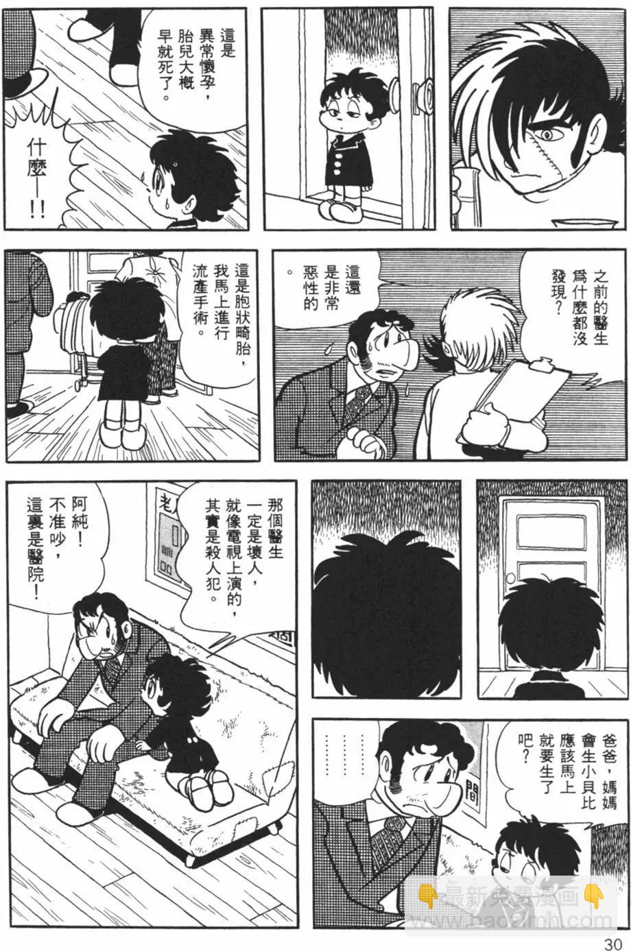 第26卷29