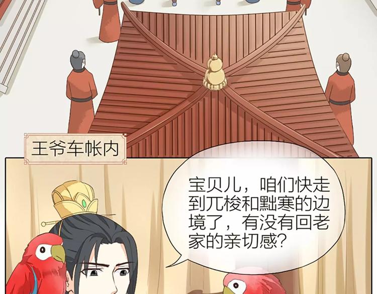 第29话 姐夫，我想我的鸟……16