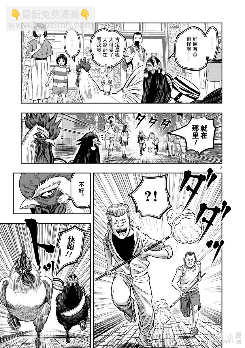 第11只 鸟尽弓藏5