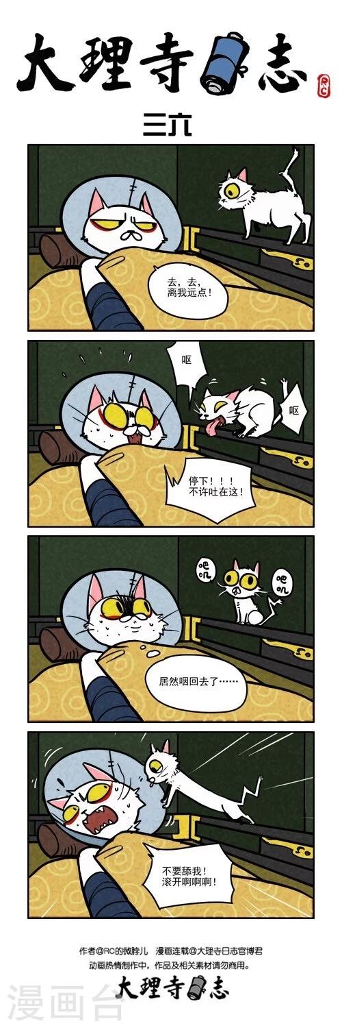 日常360