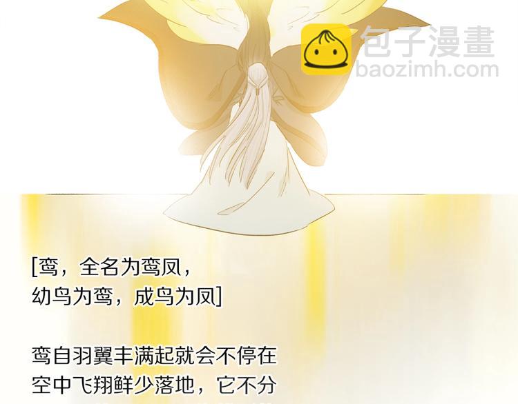 番外：候鸟139