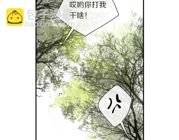 番外：候鸟40