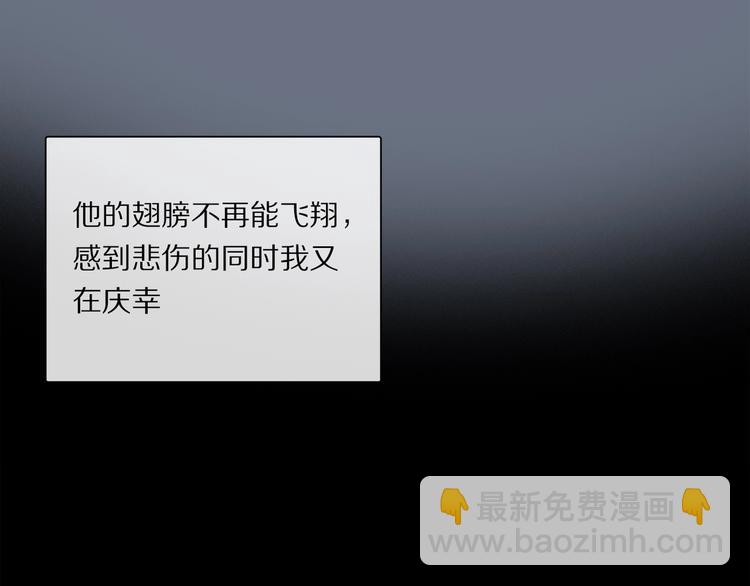 番外：候鸟65