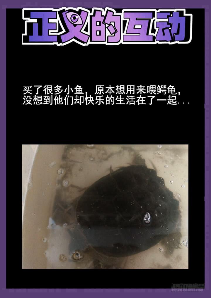 61眼 后入式偷窥10