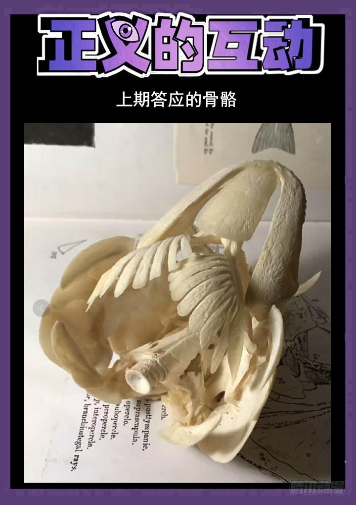146眼 大变样！14