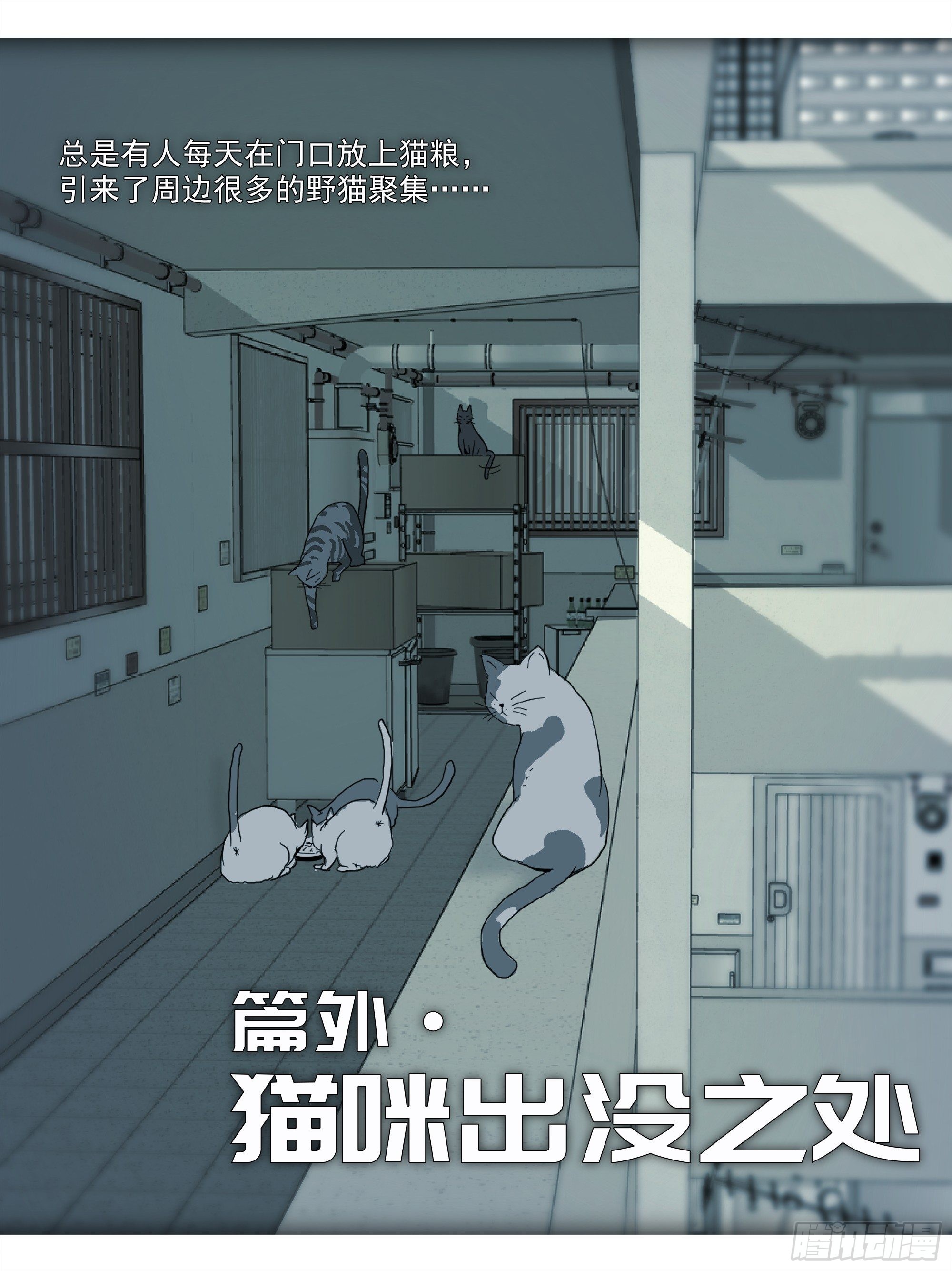 番外篇·猫咪出没之处2