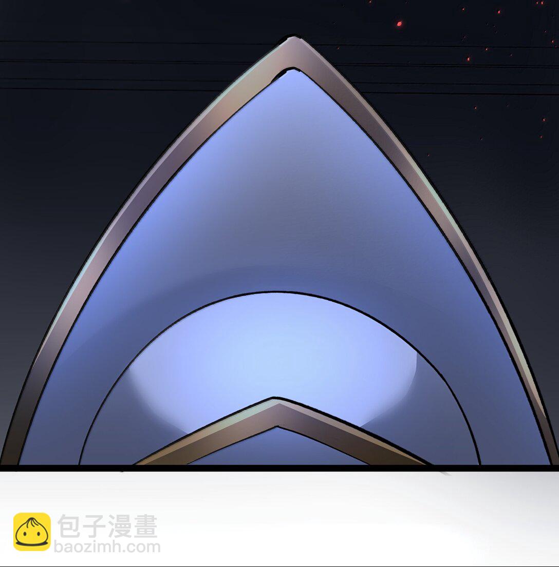 134 银色胎盘21