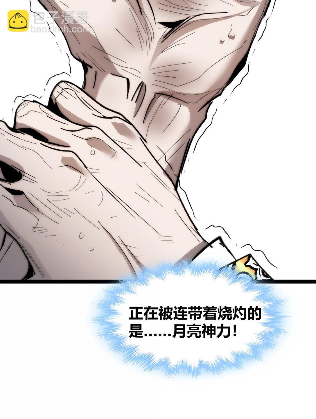 134 银色胎盘62