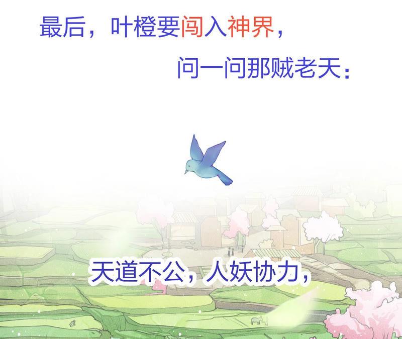 预告31