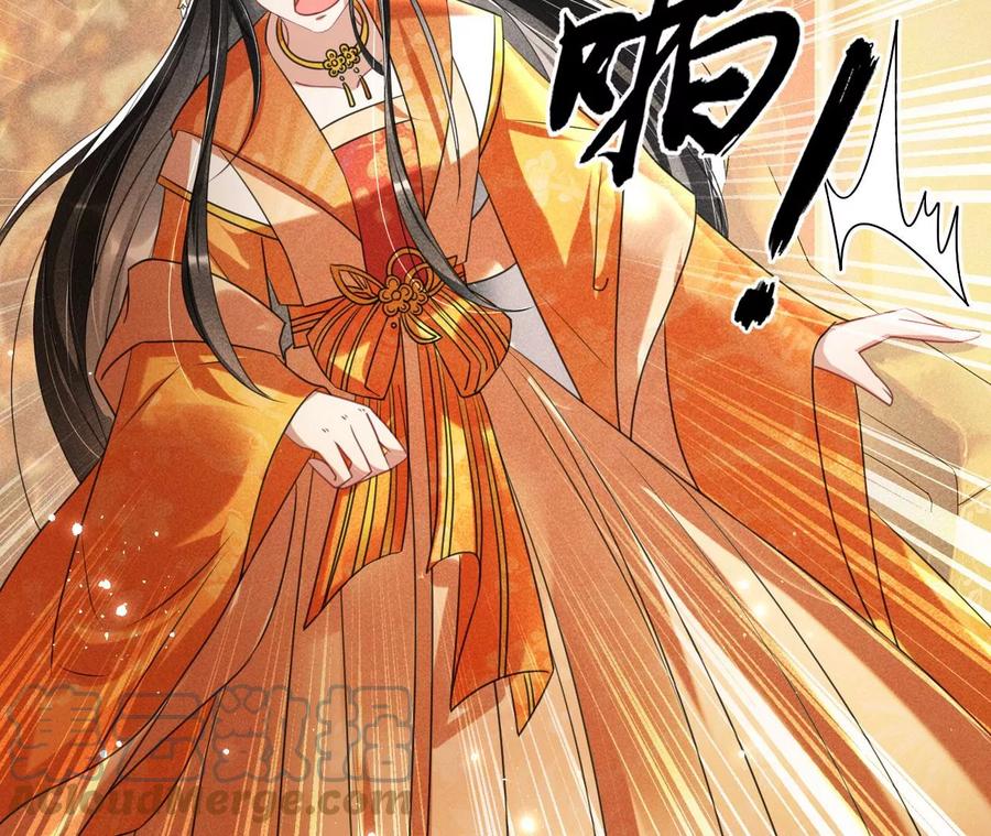 长公主的手腕24