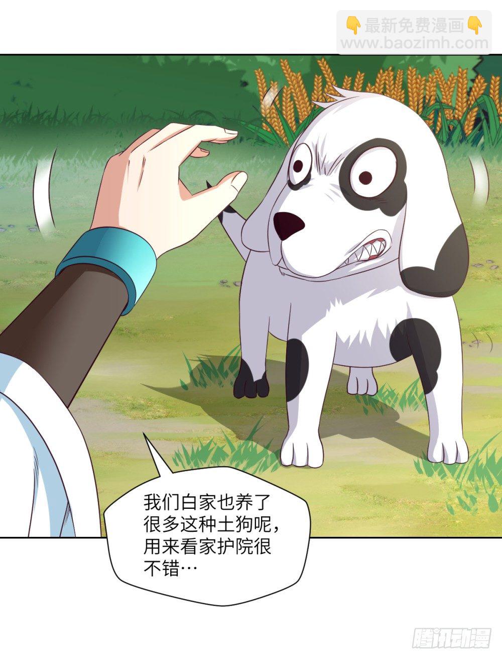 第21话 奔跑吧!白小龙7
