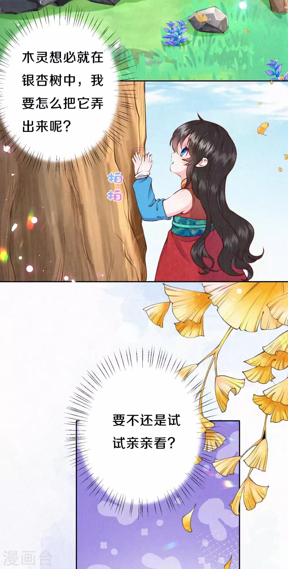 第36话 木灵寄宿之处16