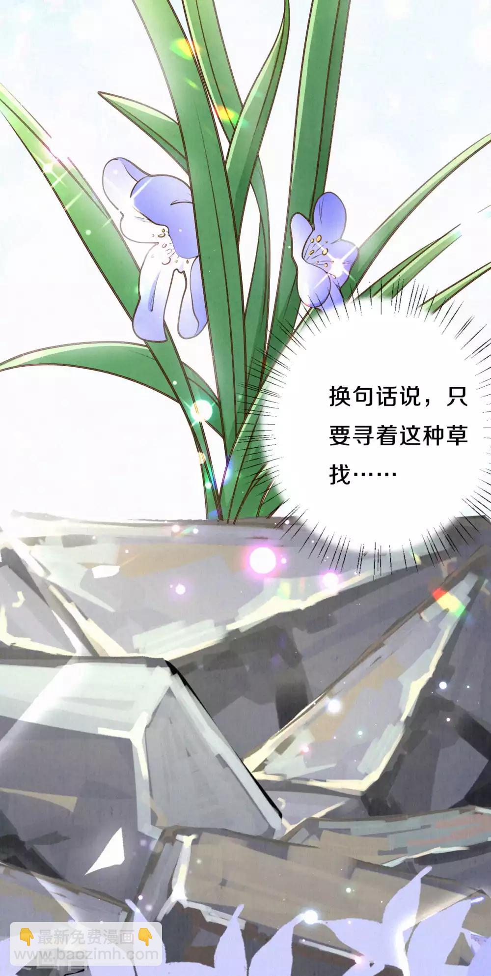 第36话 木灵寄宿之处4
