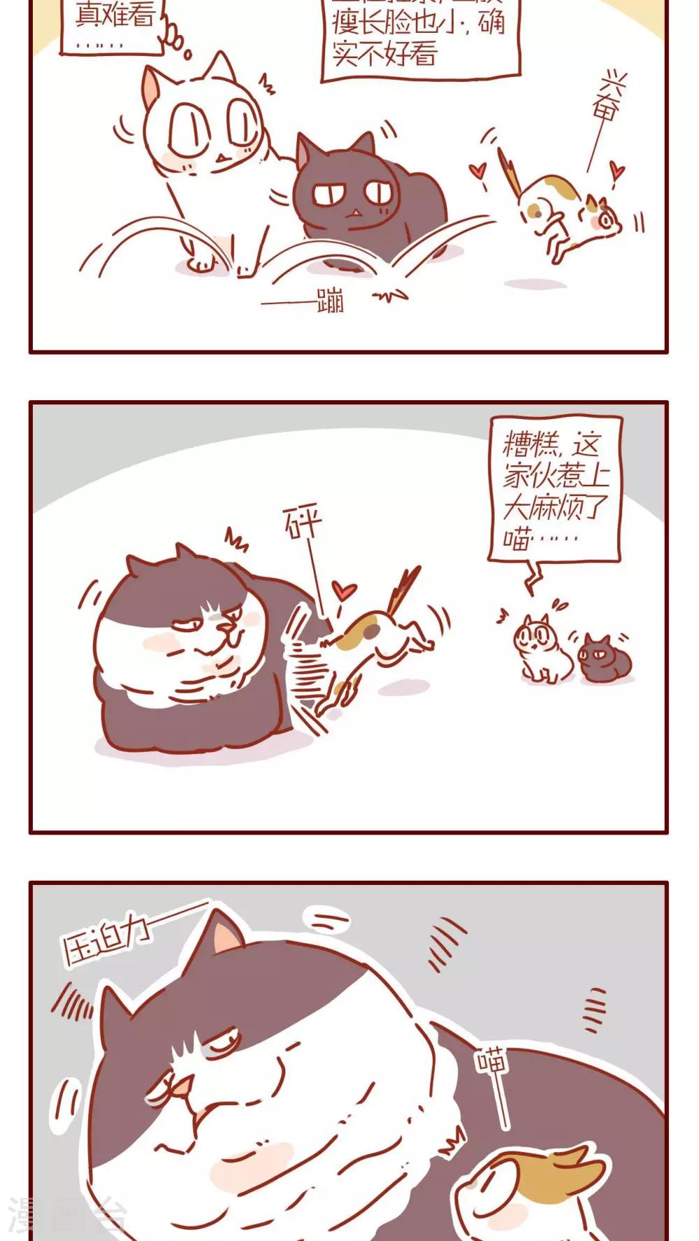 第231话3