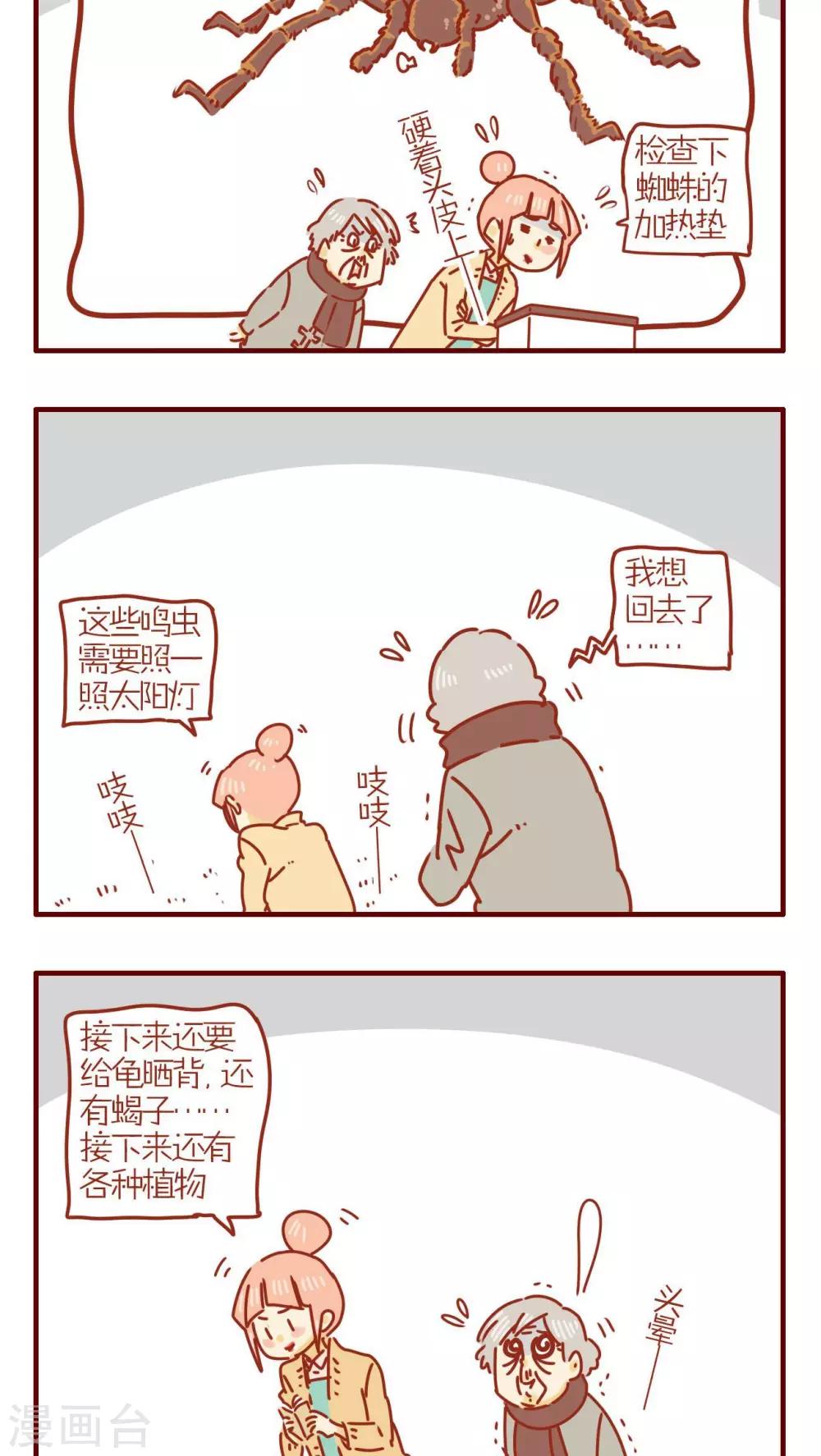 第244话1
