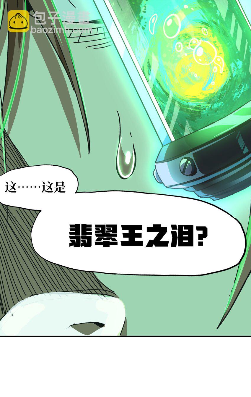 031 翡翠王之泪35