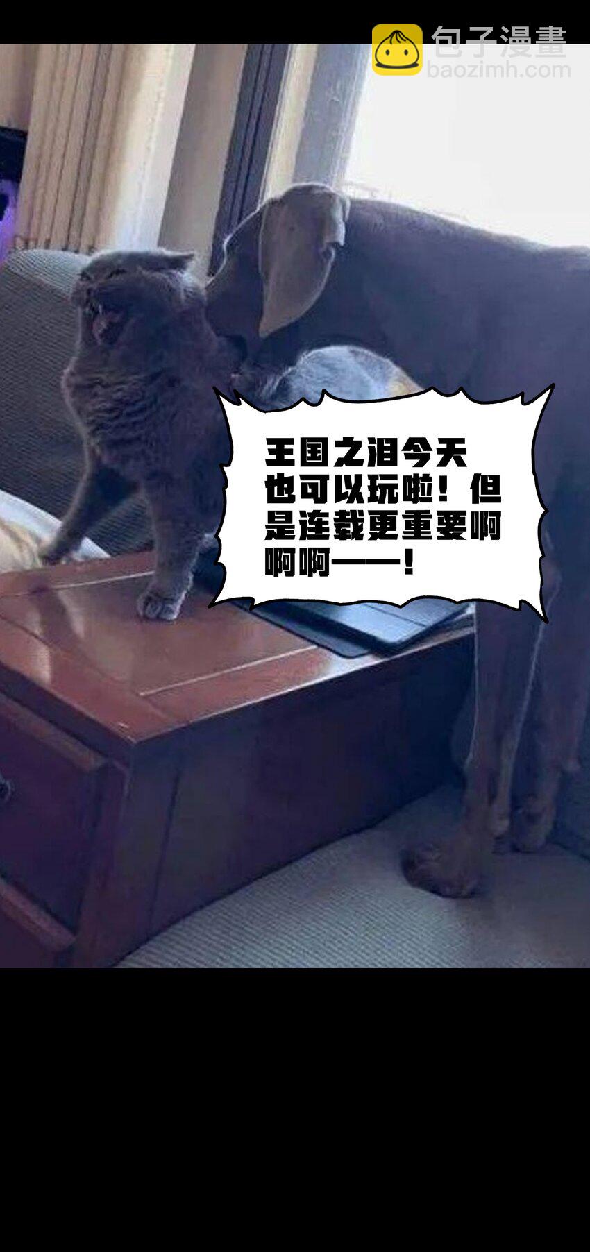 87 玫瑰的样子73