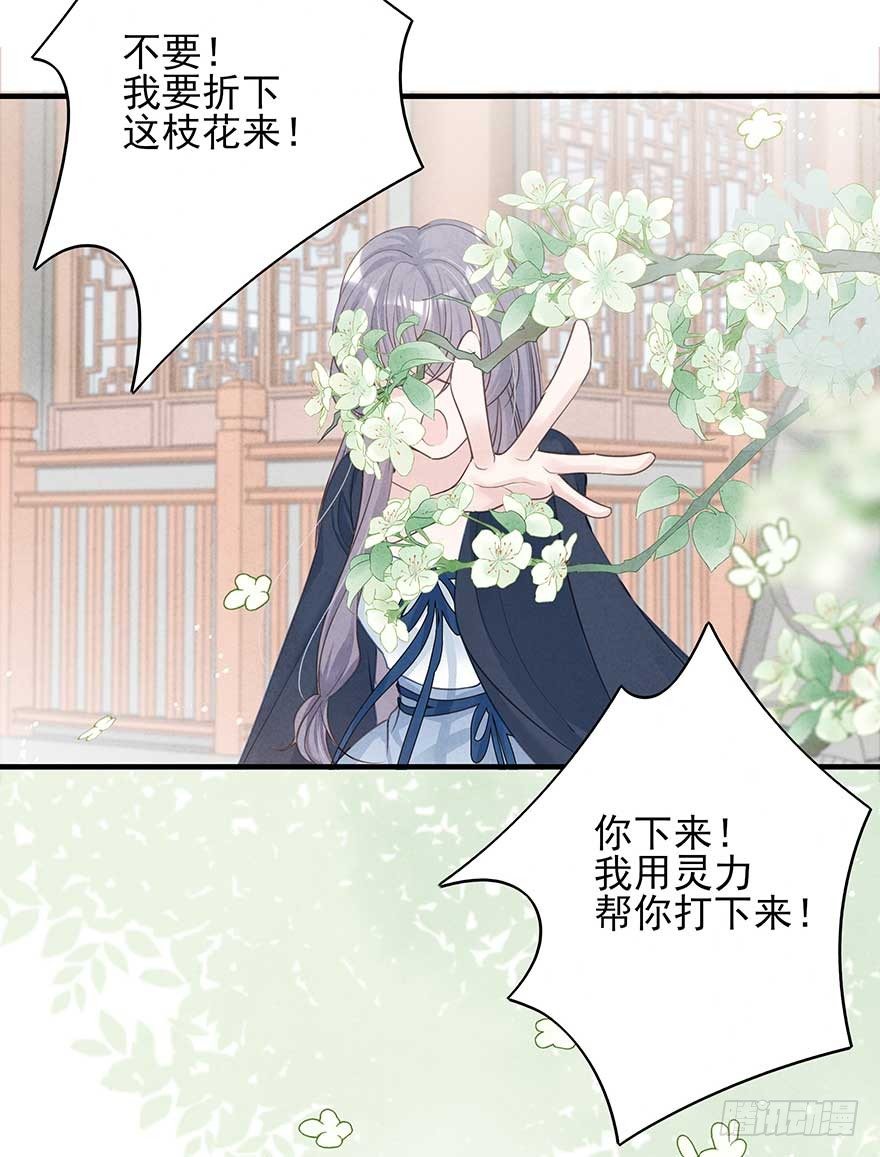 来啊！互相伤害啊！6