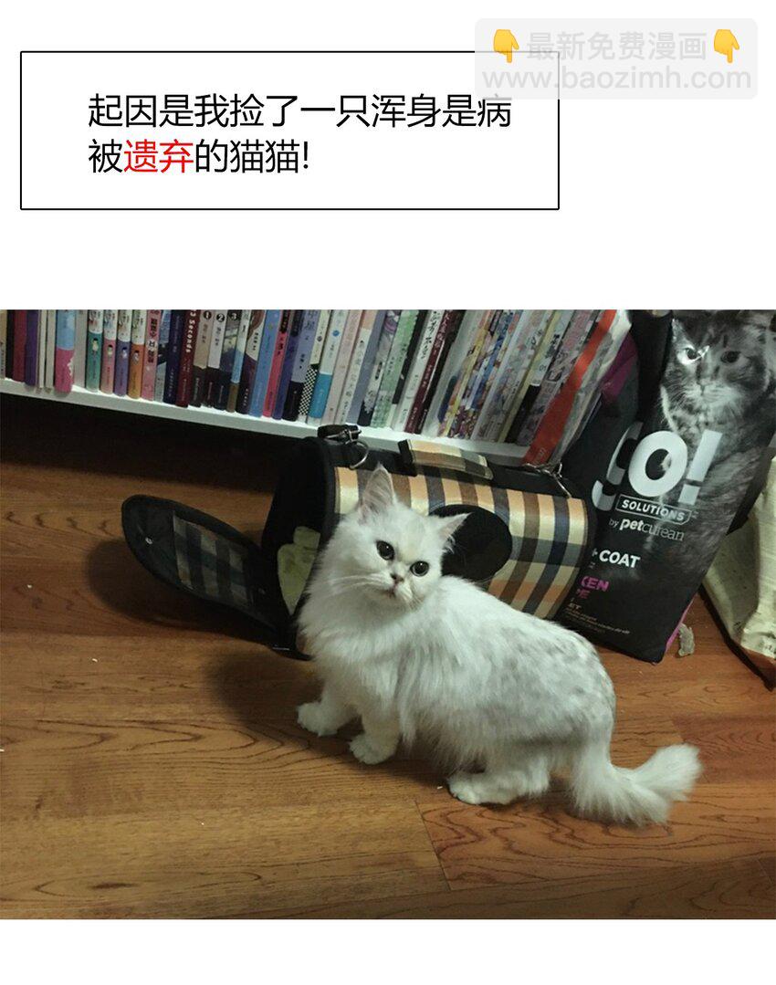 014 请好好的被我利用吧48