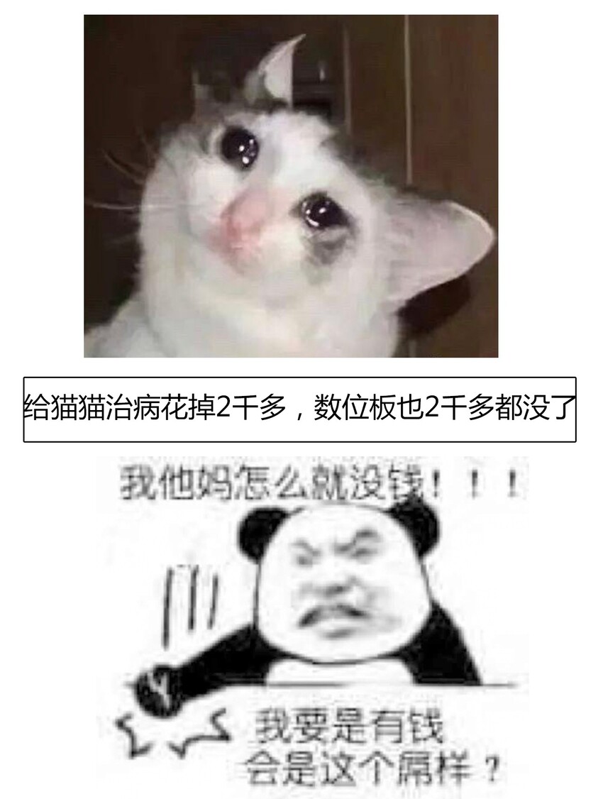 014 请好好的被我利用吧54