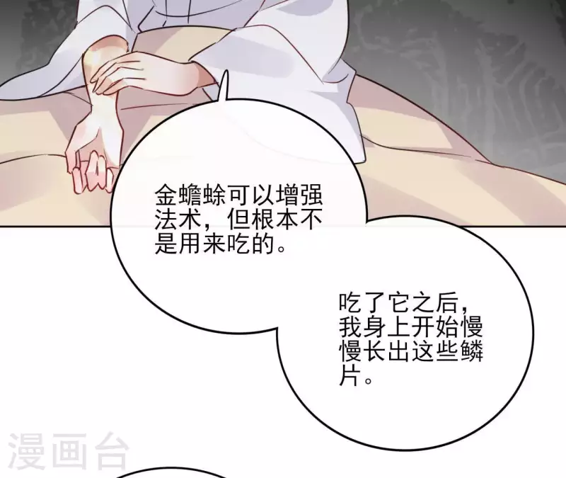 第32话 金蟾蜍45