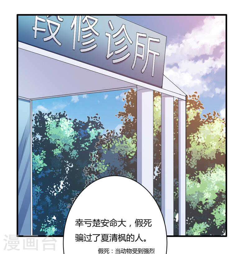 第135话 夏清枫？！38