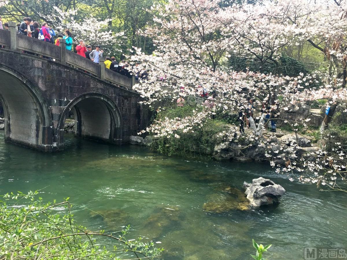 第121话 浪漫樱花之旅426