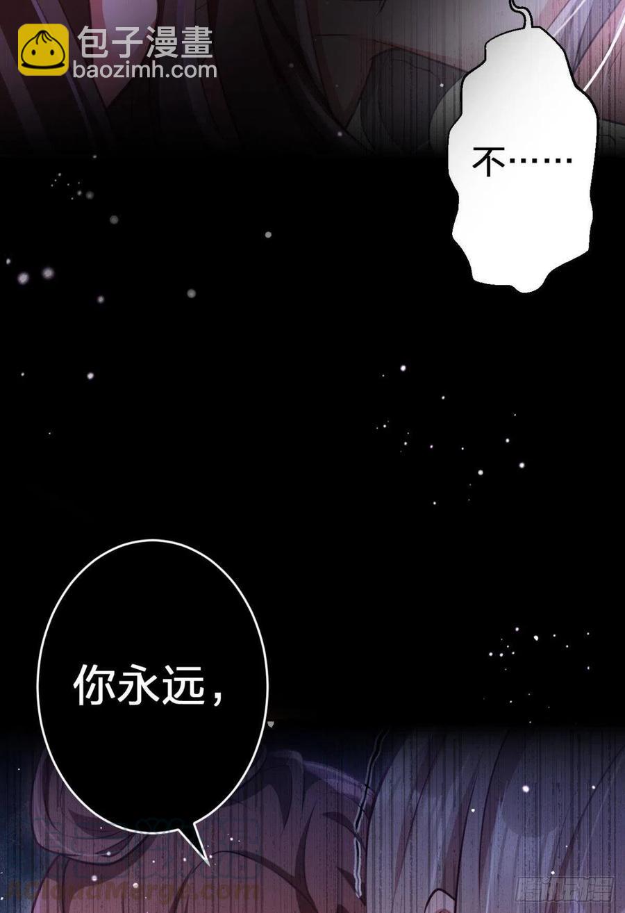 笼中看景，错付一场（上）30