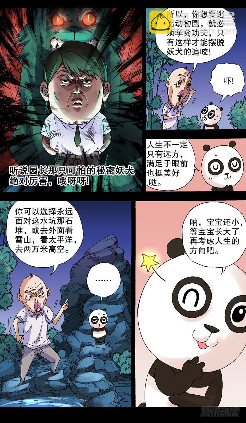 110.熊猫的决心1