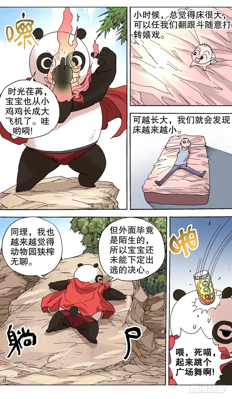 110.熊猫的决心5