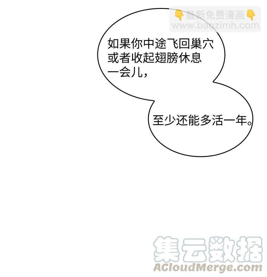25 混沌的勇士36