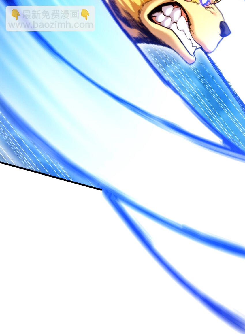 057 五行蜘蛛16