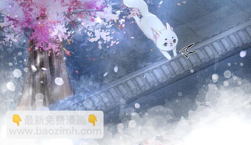 第6话 猫是鱼的天敌12