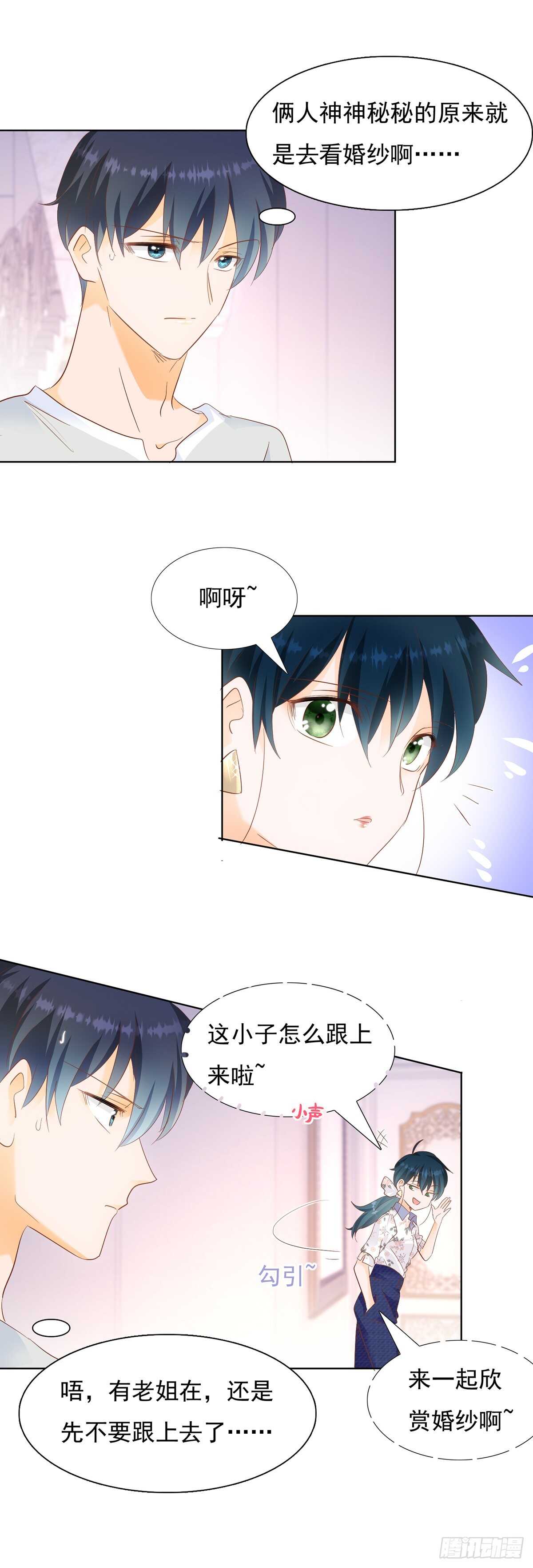全世界最美的婚纱5
