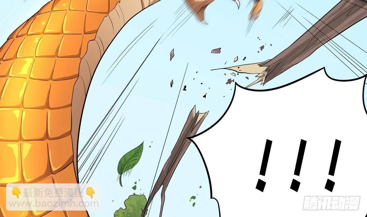 第43话 更强VS更强11