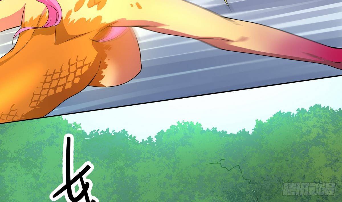 第43话 更强VS更强40